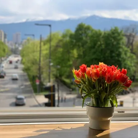The View * Sofia